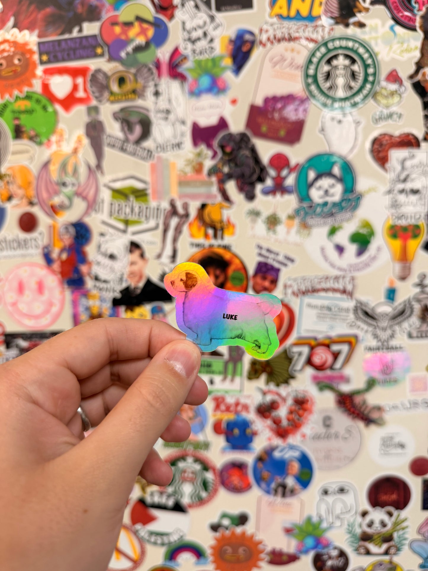 On Sale Premium Vinyl Holographic Sticker Packs